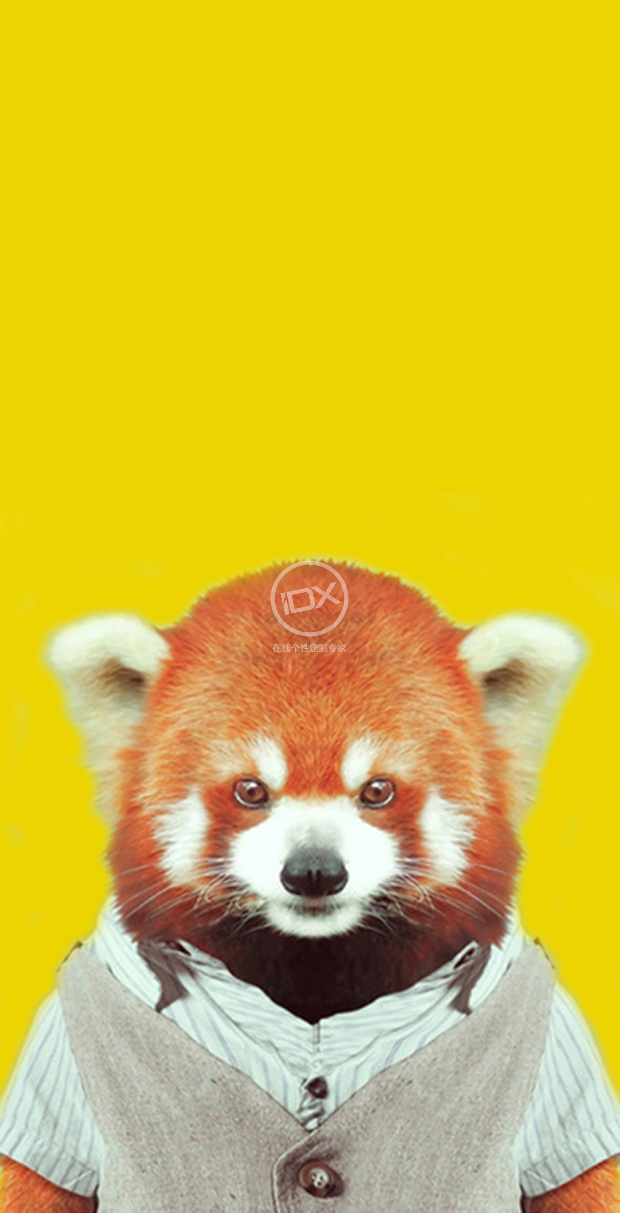 小熊猫